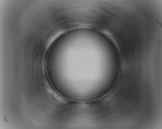 X0000103421235200809191630
