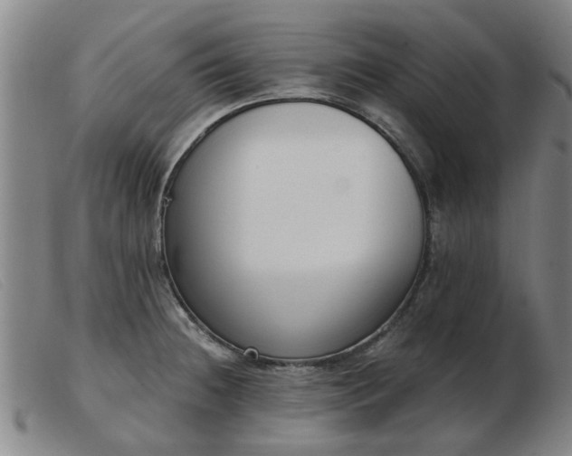 X0000103421236200809191630