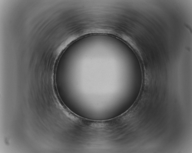X0000103421237200809191630