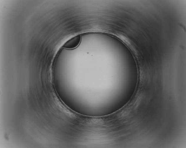 X0000103421238200809191630