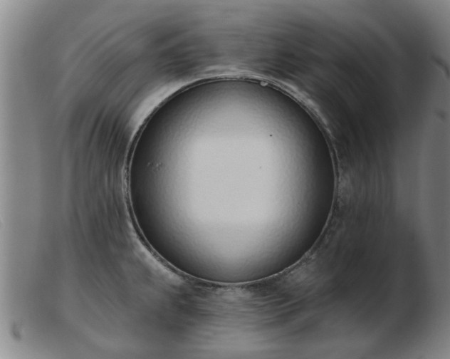 X0000103421239200809191630