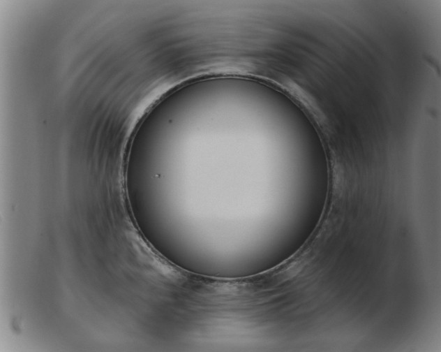 X0000103421240200809191630