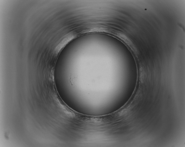 X0000103421241200809191630