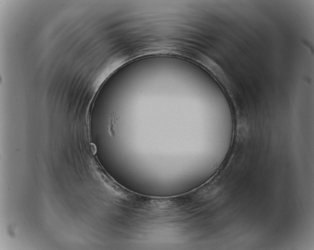X0000103421242200809191630