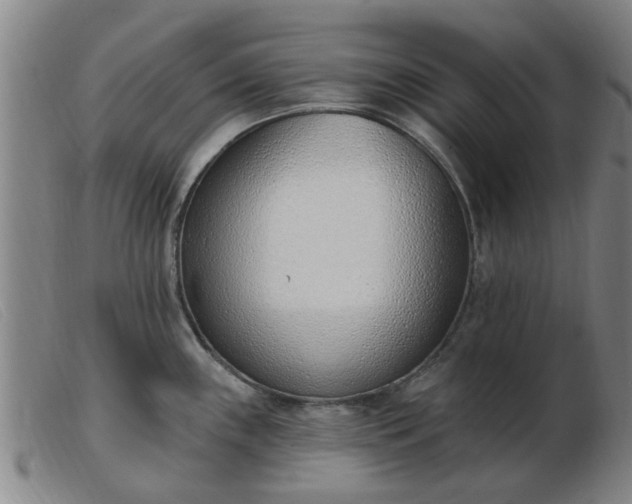 X0000103421243200809191630