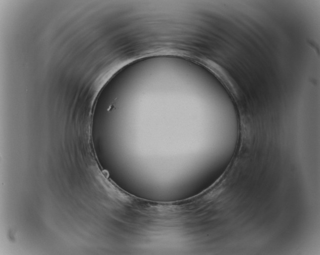 X0000103421244200809191630
