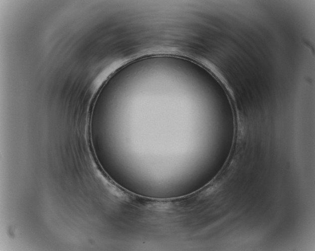 X0000103421245200809191630