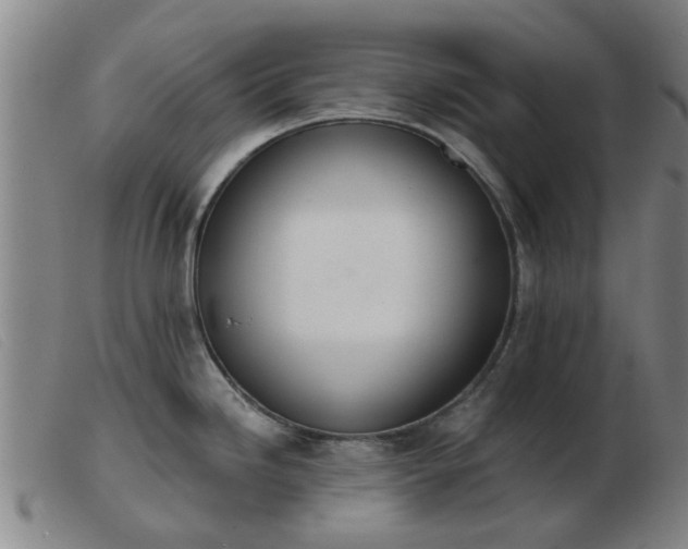 X0000103421246200809191630