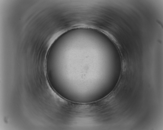 X0000103421247200809191630
