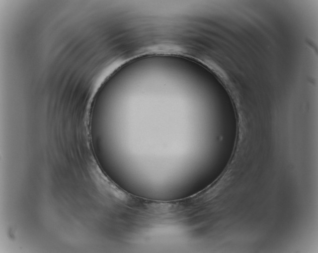 X0000103421248200809191630