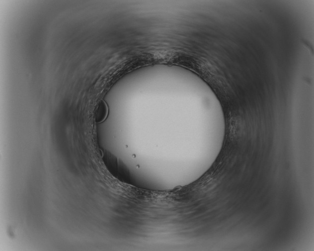X0000103421249200809191629