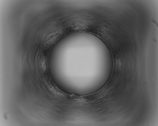 X0000103421250200809191629