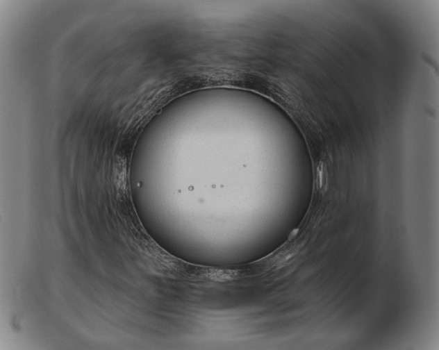 X0000103421251200809191629