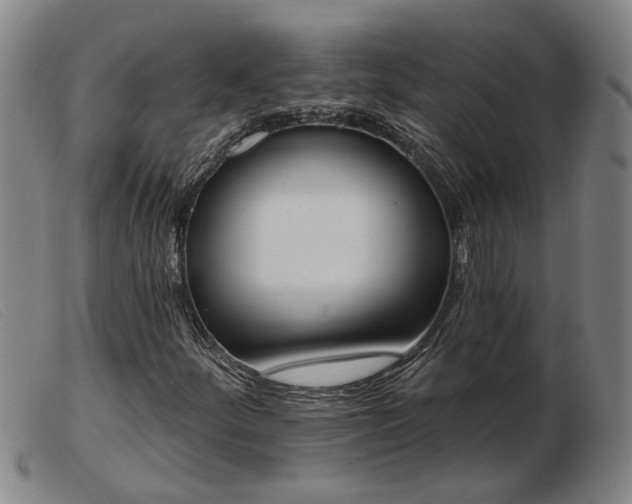X0000103421252200809191629