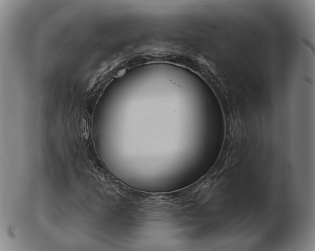 X0000103421253200809191629