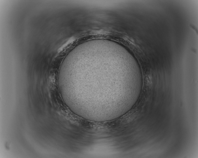 X0000103421254200809191629