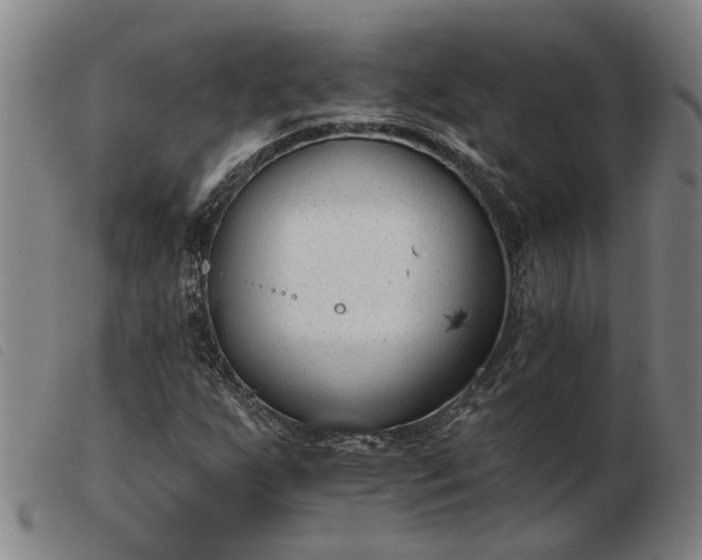 X0000103421255200809191629