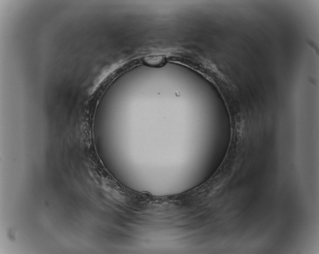 X0000103421256200809191629