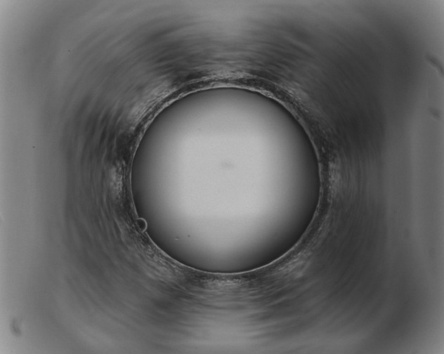 X0000103421257200809191629