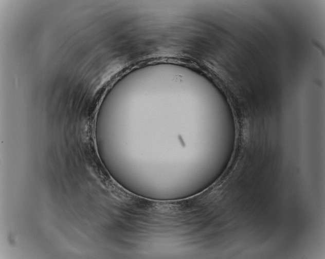 X0000103421258200809191629