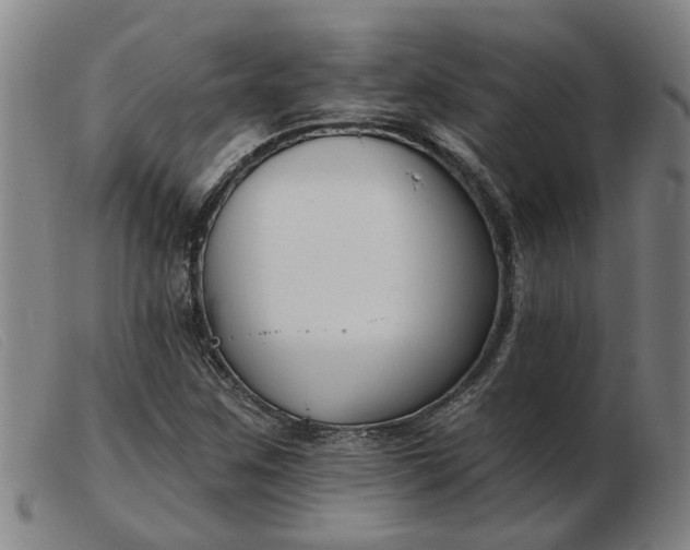 X0000103421259200809191629