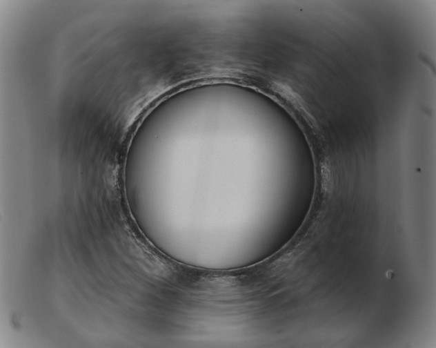 X0000103421260200809191629