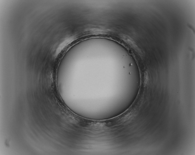 X0000103421261200809191629