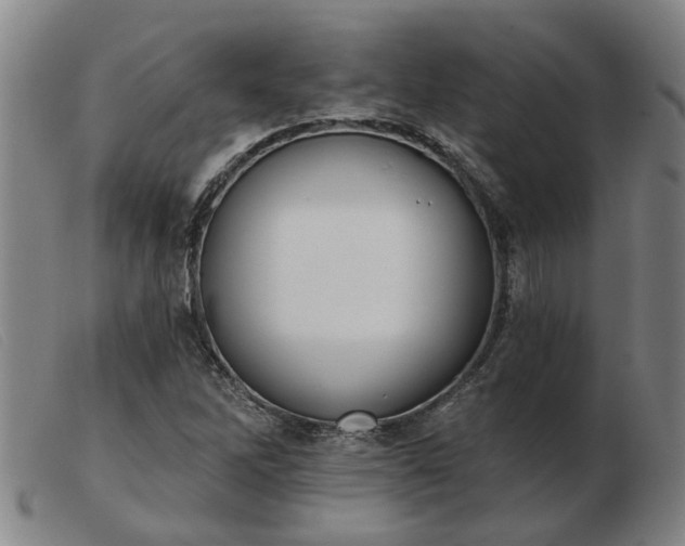 X0000103421262200809191629