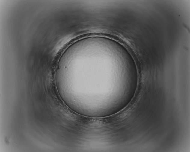 X0000103421263200809191629