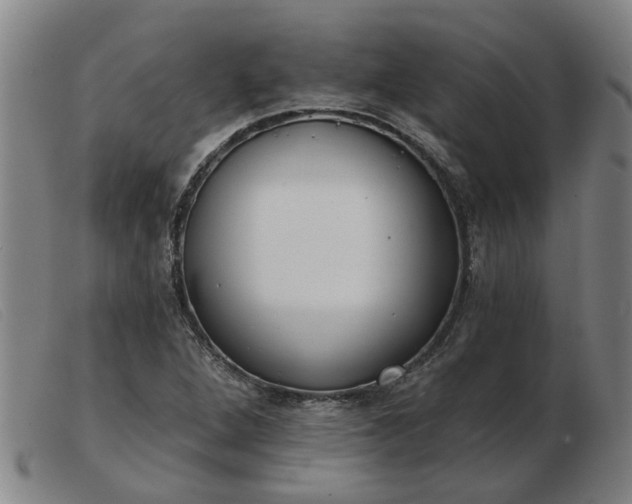 X0000103421264200809191629