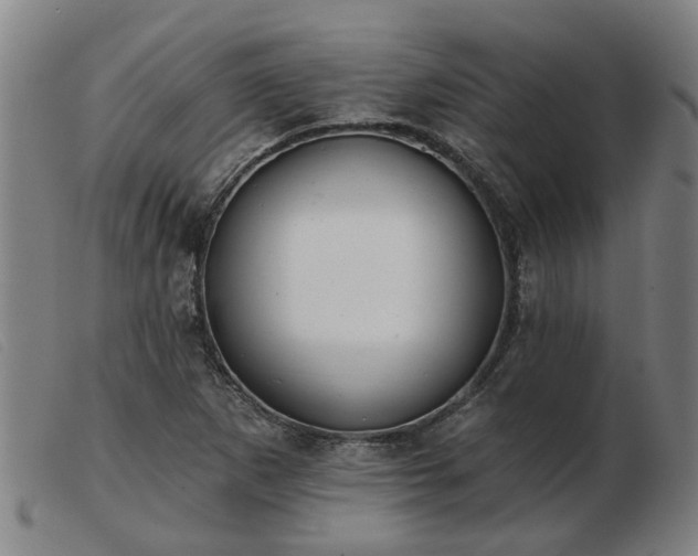 X0000103421265200809191629