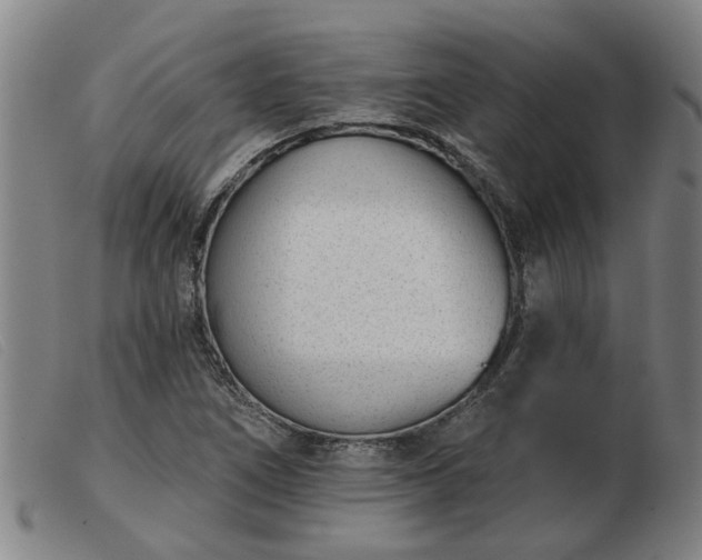 X0000103421266200809191629