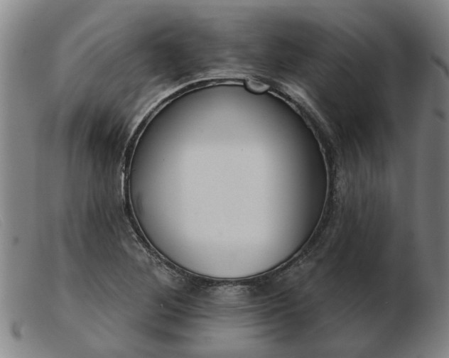 X0000103421268200809191629