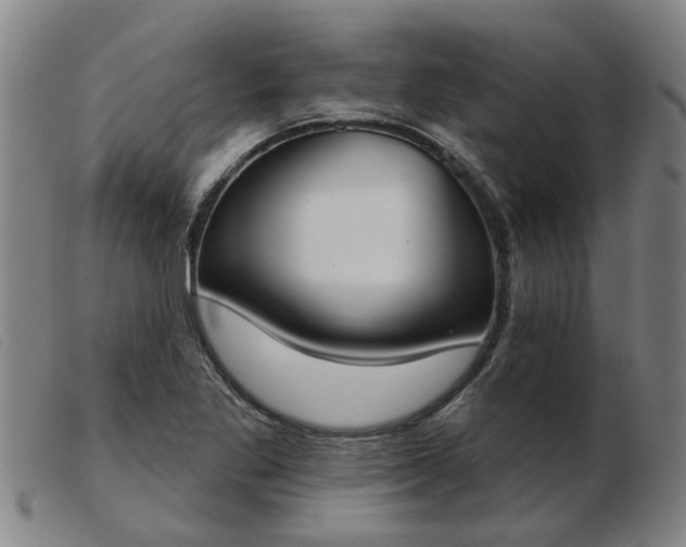 X0000103421269200809191629