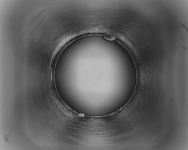 X0000103421270200809191629