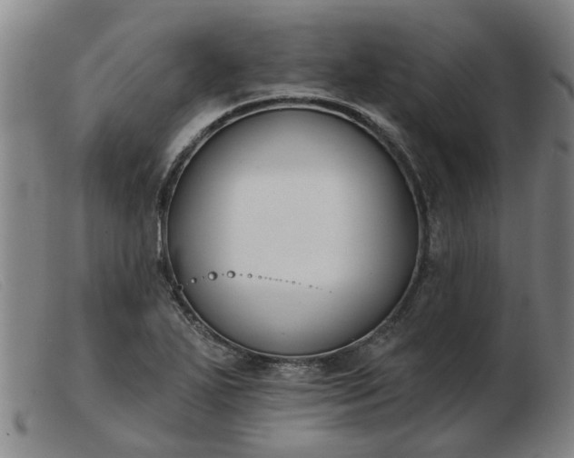 X0000103421271200809191629