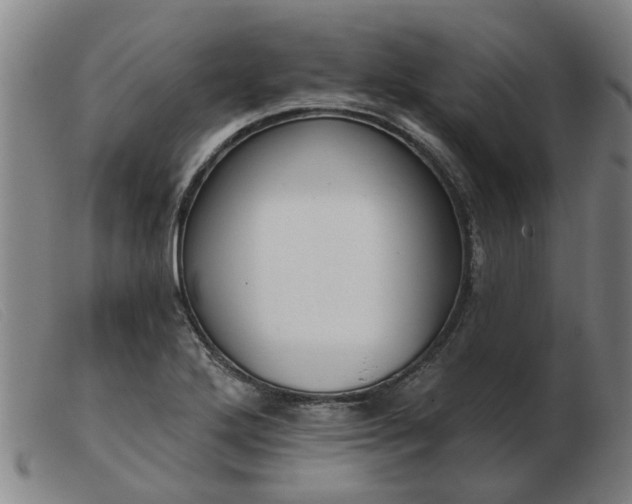 X0000103421272200809191629