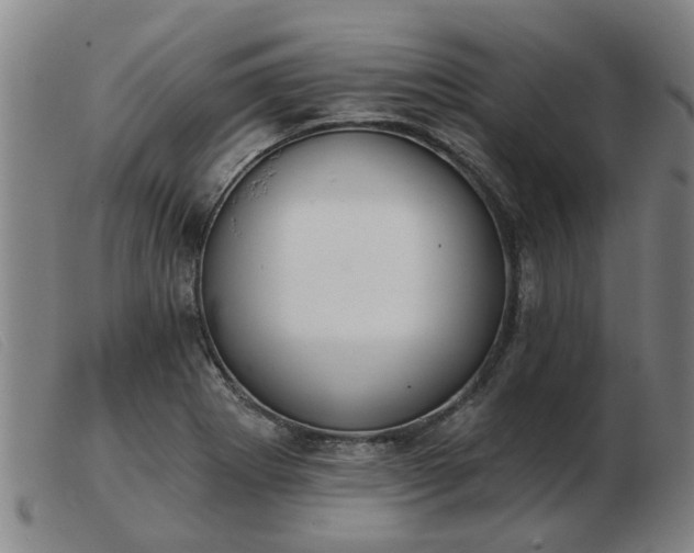 X0000103421273200809191629