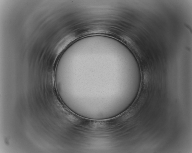 X0000103421274200809191629
