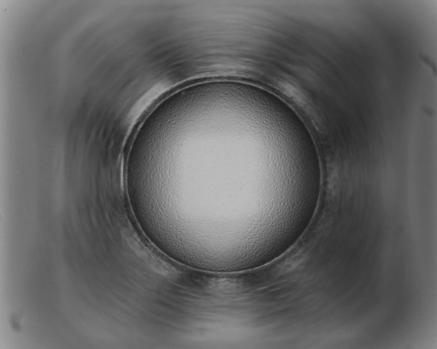 X0000103421275200809191629