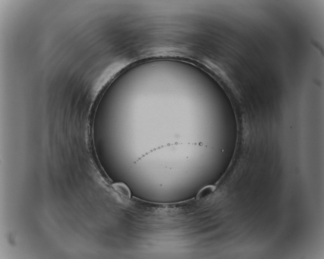 X0000103421277200809191629