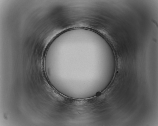 X0000103421278200809191629