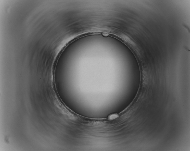 X0000103421280200809191629