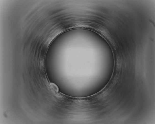 X0000103421281200809191629