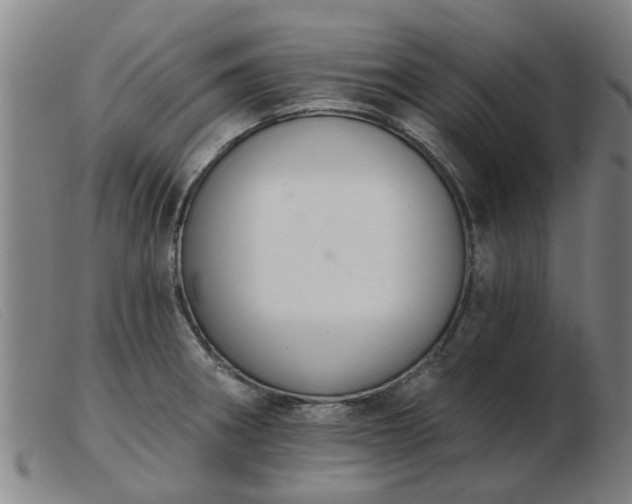 X0000103421282200809191629