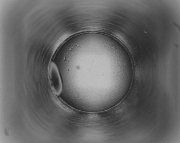 X0000103421283200809191629