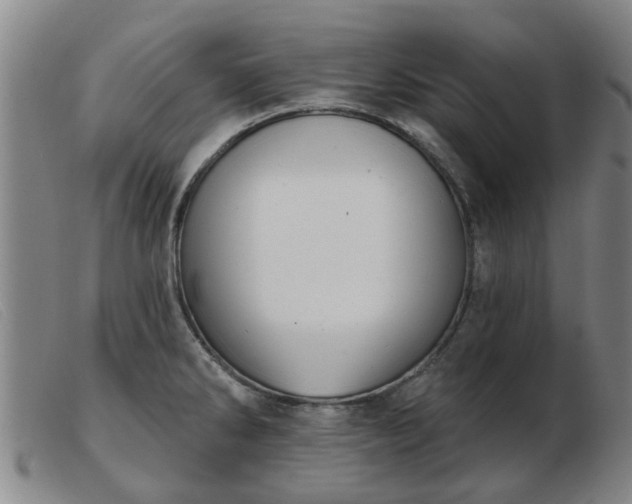 X0000103421286200809191629