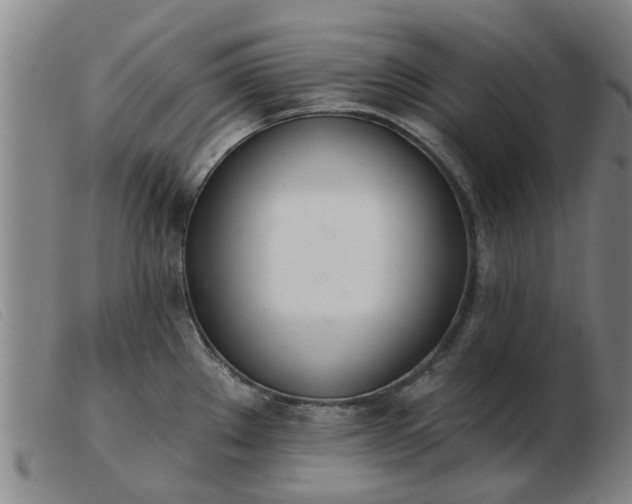 X0000103421289200809191629