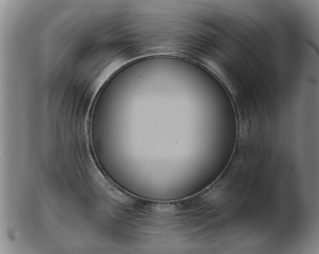 X0000103421291200809191629