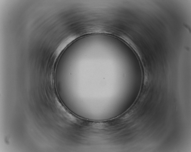 X0000103421293200809191628